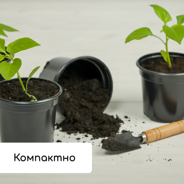Набор для рассады: стаканы по 500 мл (8 шт.), поддон 40×30 см, чёрный, Greengo
