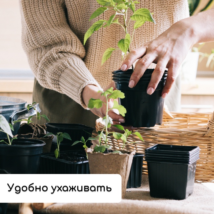 Набор для рассады: стаканы по 500 мл (8 шт.), поддон 40×30 см, чёрный, Greengo