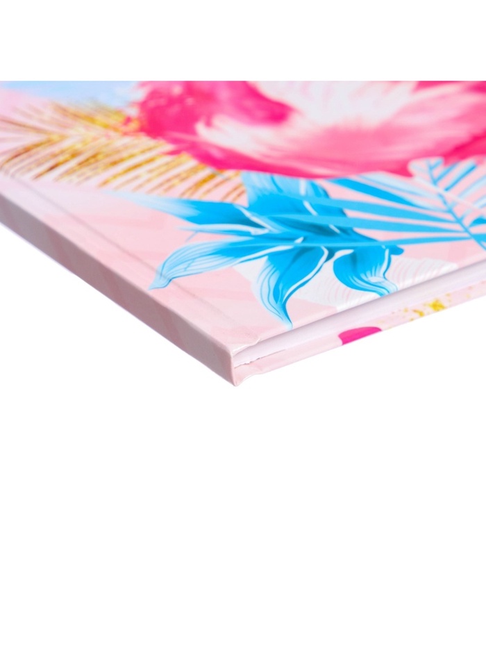 Дневник школьный для 1-4 классов, «Фламинго 3», твёрдая обложка 7БЦ, глянцевая ламинация, 48 листов