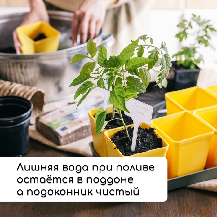 Набор для рассады: стаканы по 200 мл (18 шт.), поддон 36.5×17 см, цвет МИКС, Greengo