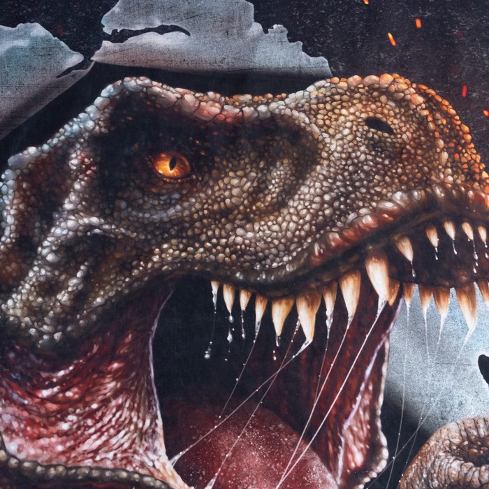 Постельное бельё 1.5-спальное «Этель» Dangerous T-rex, бязь