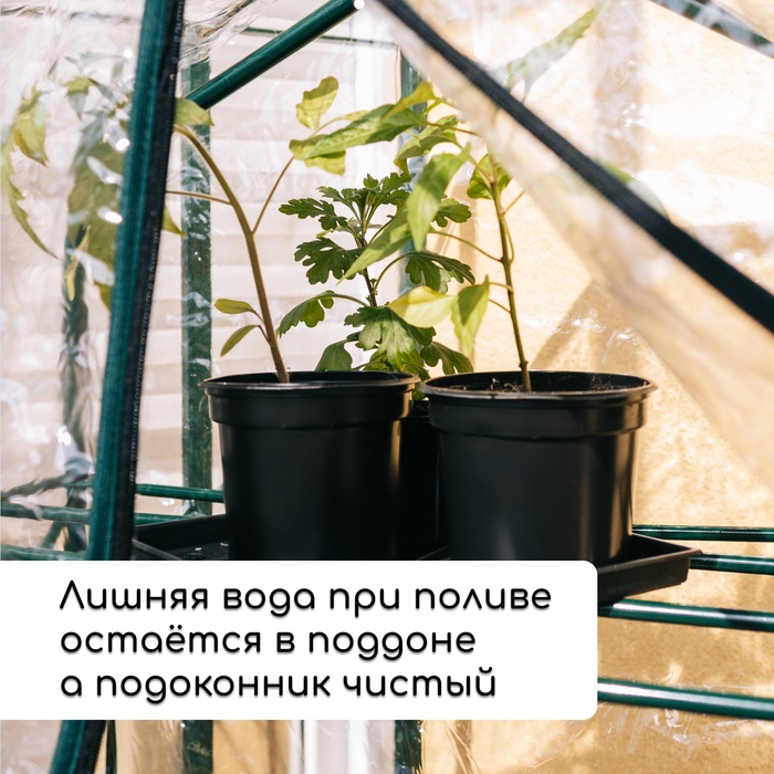 Набор для рассады: стаканы по 500 мл (8 шт.), поддон 40×30 см, чёрный, Greengo