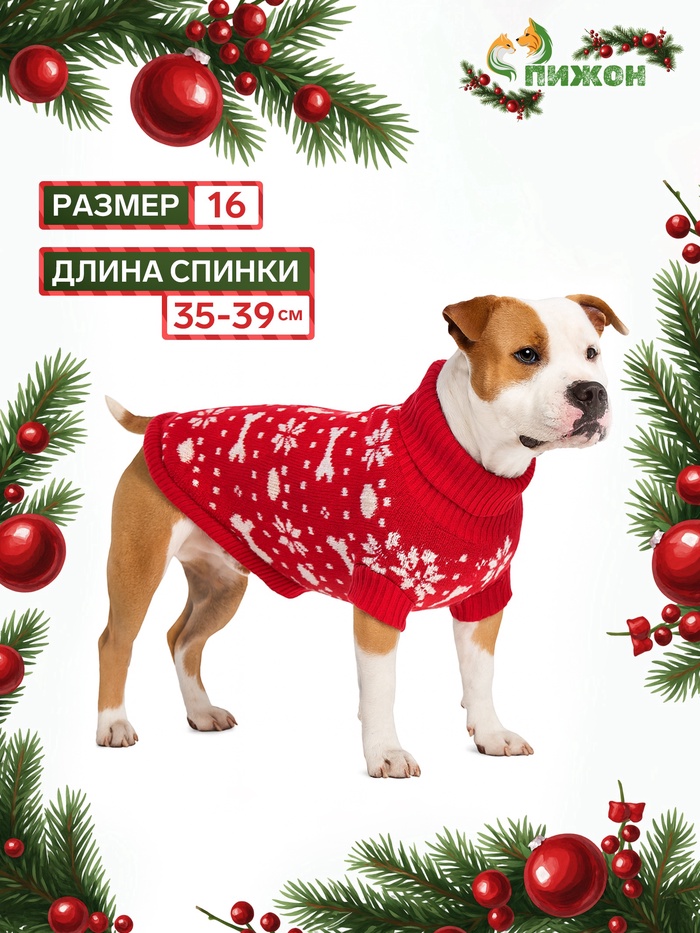 Свитер «Косточки-снежинки», размер 16 (ДС 35-39, ОГ 38-50, ОШ 24-28 см), красный